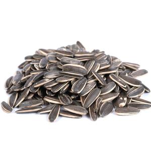 Sunflower Seeds with Shell – Salted Roasted - Premium Crunchy & Flavorful Snack