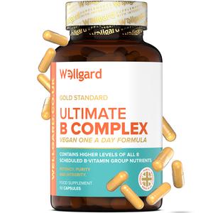 Wellgard Vitamin B Complex Capsules - One A Day Formula with All 8 B Vitamins, Choline & Inositol, Vegan Friendly, 90 Capsules