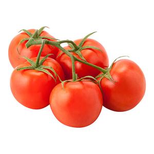 Vine Tomatoes