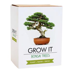 Gift Republic Grow Your Own Bonsai Tree Boxed Gift Set Perfect for Gardening Enthusiasts