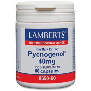 Lamberts Pycnogenol 40Mg 60 Tablets