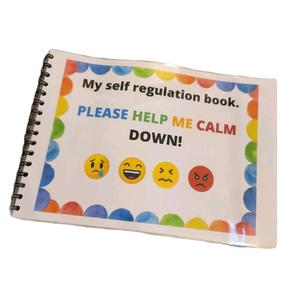 self regulation and feeling flash cards bundle Laminated Book with Flash Cards Printed on Card with Link
