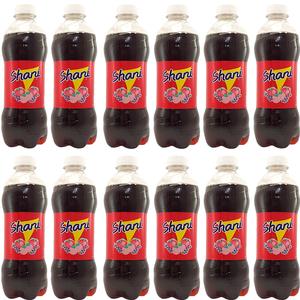 Shani Fruit Flavor Drink Pack of 12 X500ml