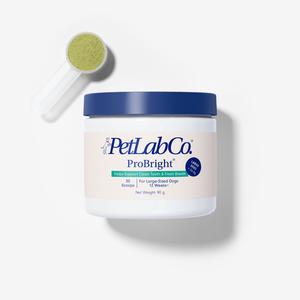 ProBright Dog Dental Powder - Fresh Breath, Whiter Teeth - No Toothbrush Needed - Vet Reviewed Dog Teeth Cleaning Product for Dogs - Made in UK